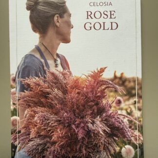 Celosia Rose Gold