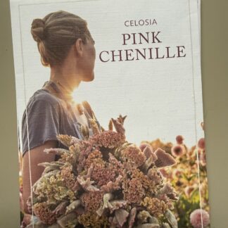 Celosia Pink Chenille