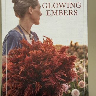 Celosia Glowing Embers