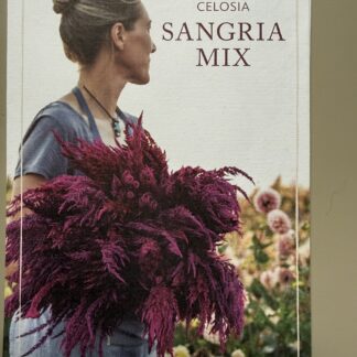 Celosia Sangria Mix